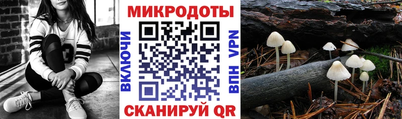 Галлюциногенные грибы ЛСД  купить наркотик  Петровск-Забайкальский 